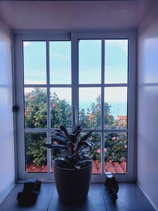 Achadas Da Cruz Farm House Dış mekan fotoğraf